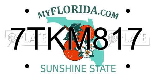 7TKM817 Florida License Plate