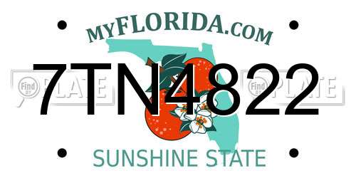 7TN4822 Florida License Plate