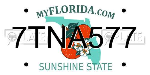 7TNA577 Florida License Plate