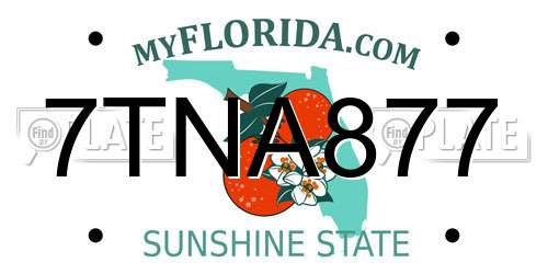 7TNA877 Florida License Plate