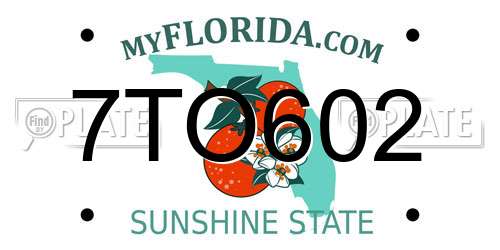 7TO602 Florida License Plate