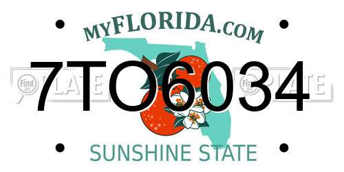 7TO6034 Florida License Plate