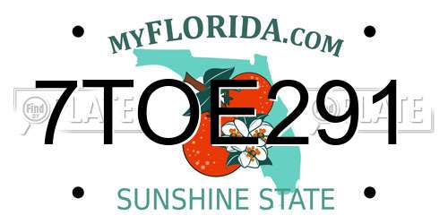 7TOE291 Florida License Plate