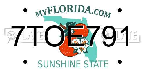 7TOE791 Florida License Plate