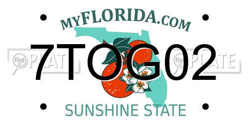7TOG02 Florida License Plate