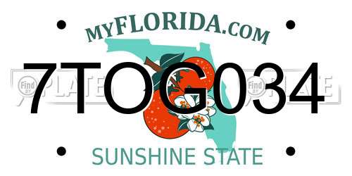 7TOG034 Florida License Plate