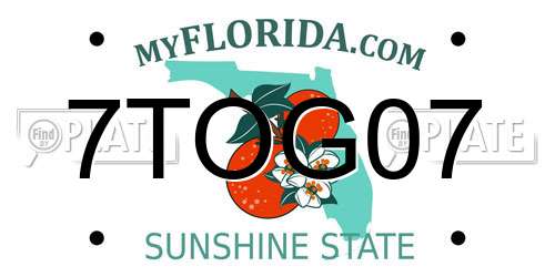 7TOG07 Florida License Plate