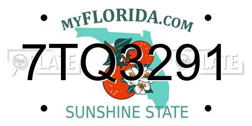 7TQ3291 Florida License Plate