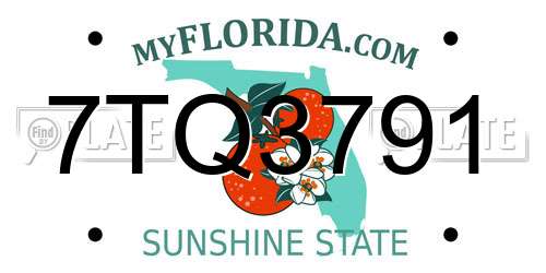 7TQ3791 Florida License Plate
