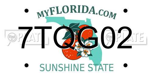 7TQG02 Florida License Plate