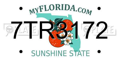 7TR3172 Florida License Plate