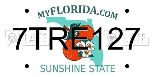 7TRE127 Florida License Plate