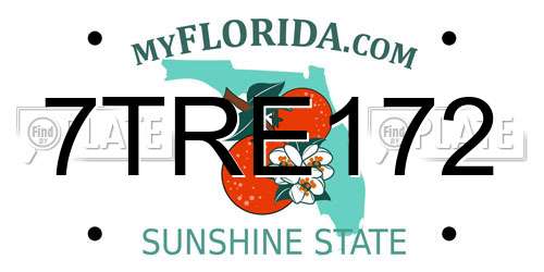 7TRE172 Florida License Plate