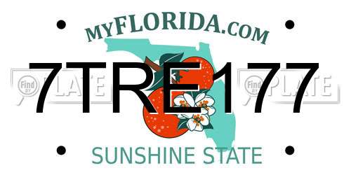 7TRE177 Florida License Plate