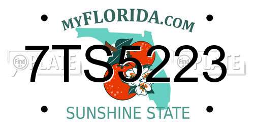 7TS5223 Florida License Plate