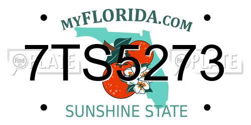 7TS5273 Florida License Plate