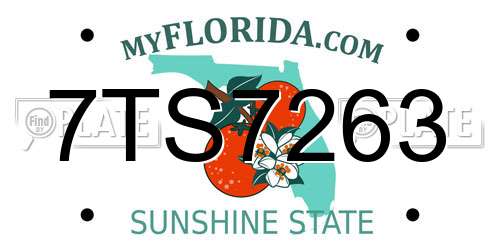 7TS7263 Florida License Plate