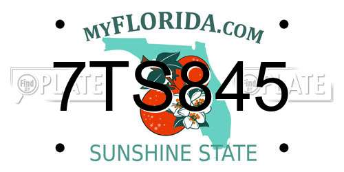7TS845 Florida License Plate