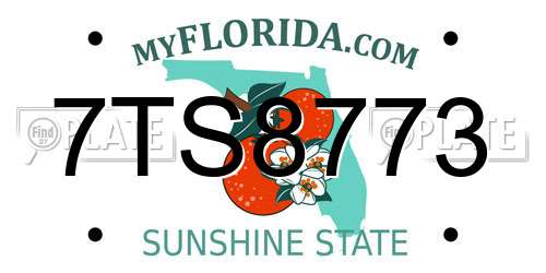 7TS8773 Florida License Plate