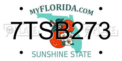 7TSB273 Florida License Plate