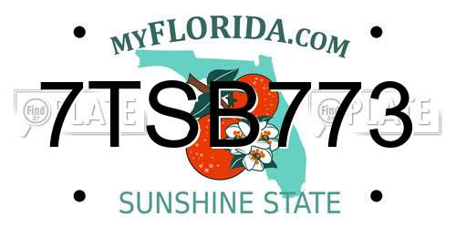7TSB773 Florida License Plate