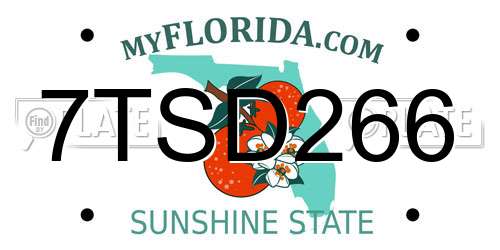 7TSD266 Florida License Plate