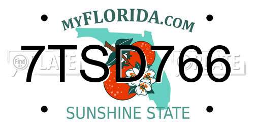 7TSD766 Florida License Plate