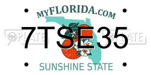 7TSE35 Florida License Plate