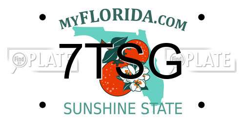 7TSG Florida License Plate