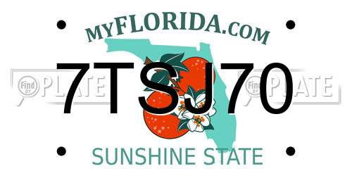 7TSJ70 Florida License Plate