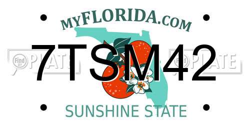 7TSM42 Florida License Plate