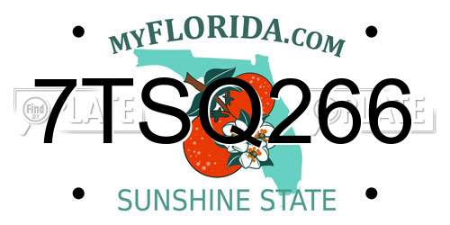 7TSQ266 Florida License Plate