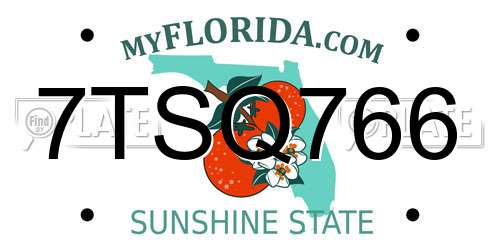 7TSQ766 Florida License Plate