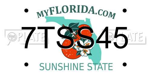 7TSS45 Florida License Plate