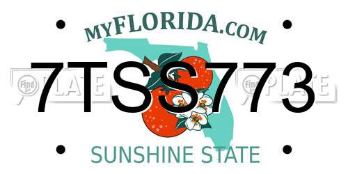 7TSS773 Florida License Plate