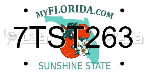 7TST263 Florida License Plate