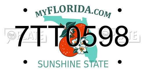 7TT0598 Florida License Plate