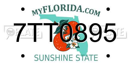7TT0895 Florida License Plate