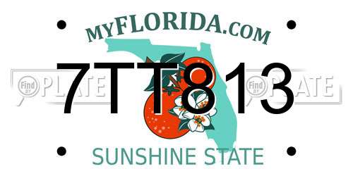 7TT813 Florida License Plate