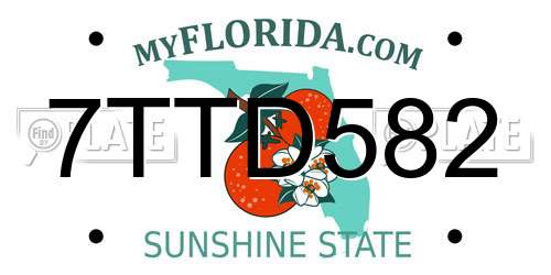 7TTD582 Florida License Plate