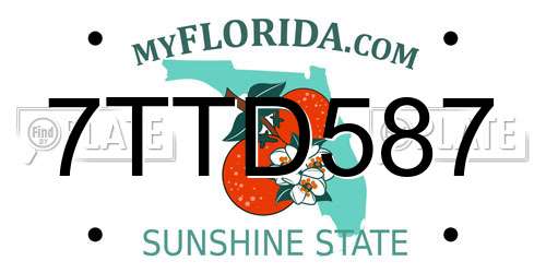 7TTD587 Florida License Plate