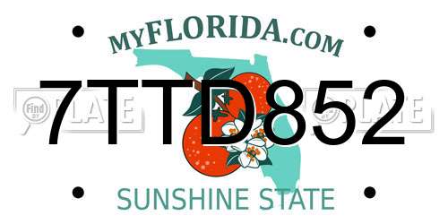 7TTD852 Florida License Plate