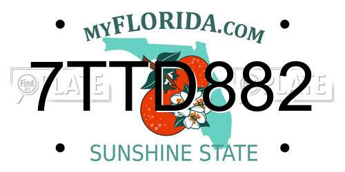 7TTD882 Florida License Plate