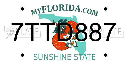 7TTD887 Florida License Plate