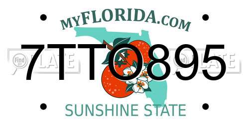 7TTO895 Florida License Plate