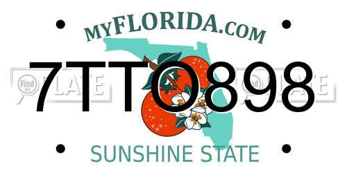 7TTO898 Florida License Plate