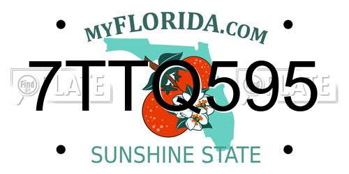 7TTQ595 Florida License Plate