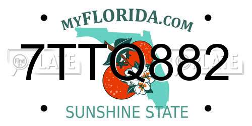 7TTQ882 Florida License Plate