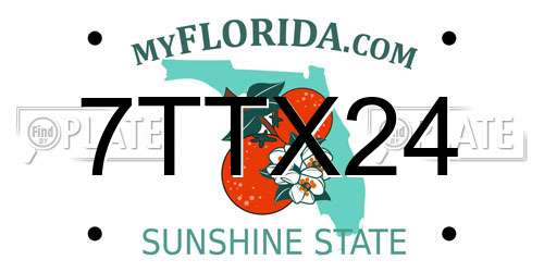 7TTX24 Florida License Plate