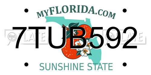 7TUB592 Florida License Plate